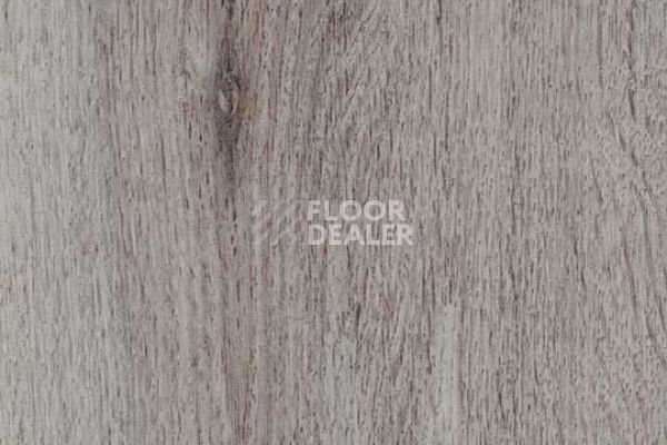 Виниловая плитка ПВХ FORBO Allura Decibel 8WHA01-3WHA01 winter harvest oak фото 1 | FLOORDEALER